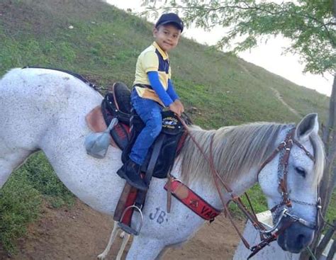 Menino de quatro anos morre após ser arrastado por cavalo no qual