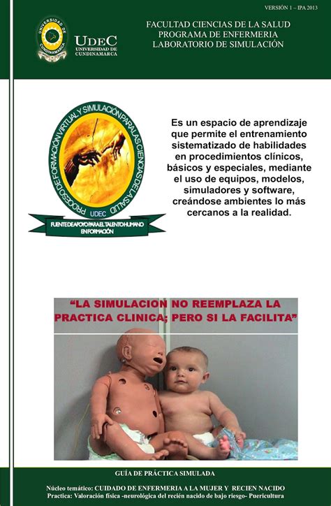 Calam O Gia Practica Adaptacion Neonatal Rcp