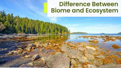 Difference Between Environmental Science And Ecology Earth Reminder