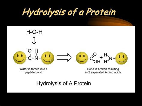 Biochemistry Ppt Download