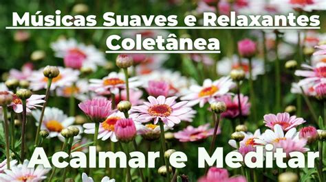 Acalmar E Meditar Colet Nea De M Sicas Calmas E Relaxantes Youtube