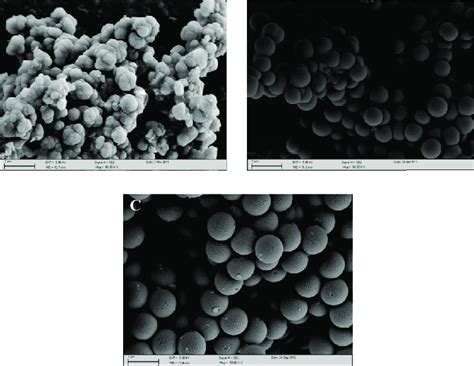 Sem Images Of The Porous And Non Porous Silica Particles Mesoporous