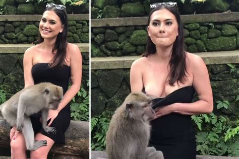 Female Tourist Exposes Her Boobs After Cheeky Monkey Pulls Her Dress