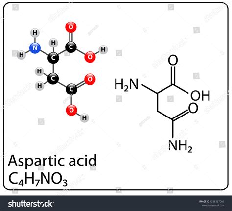 Aspartic Acid Molecule Structure Stock Vector Royalty Free 1358337005