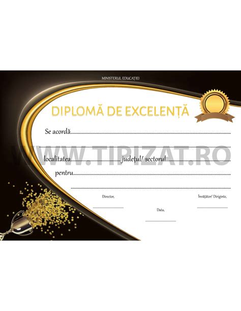 D010c Diploma De Excelenta