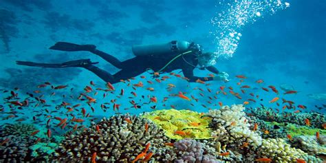 Places To Scuba Diving In India Updated