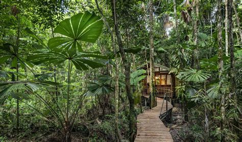 The 25 Most Beautiful Ecolodges And Eco Hotels In The World