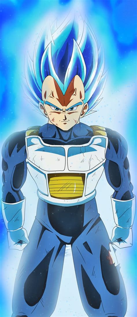 Vegeta Ssj Blue Full Power Universo 7 Anime Dragon Ball Super Dragon Ball Super Art Anime