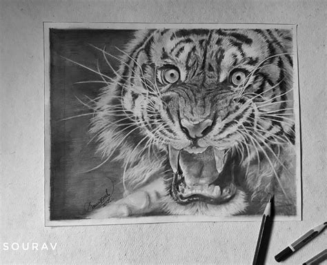 Tiger Realistic Pencil Sketchpaper A4pencils 2b6b10b Method Grid