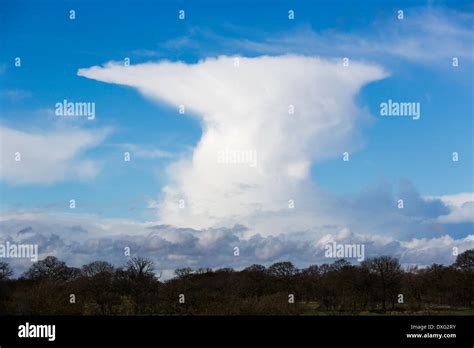 Anvil Clouds