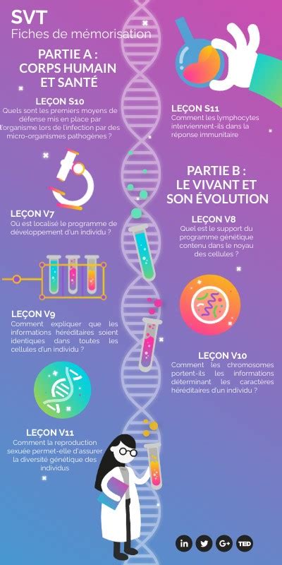 Fiches De M Morisation Svt Fal E