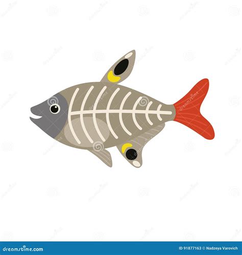 Xray Tetra Fish Cartoon Character Cartoondealer