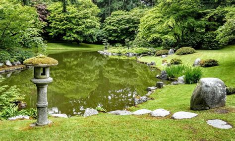 Cómo Hacer un Jardín Zen Interior Plantarum