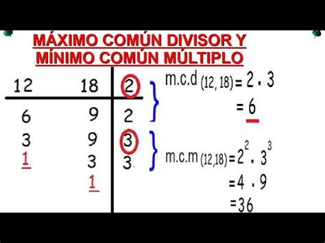 M Ximo N Denominador Y M Nimo N M Ltiplo Youtube