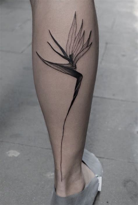 25 Stunning Bird Of Paradise Tattoo Ideas In 2022 Artofit