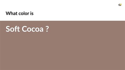 Soft Cocoa Color B Hex Color Brown Color Cool Color B