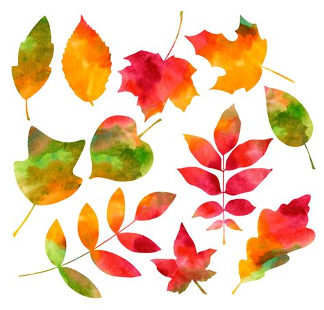 Autumn Leaves Watercolor By MWashburn Design | TheHungryJPEG.com