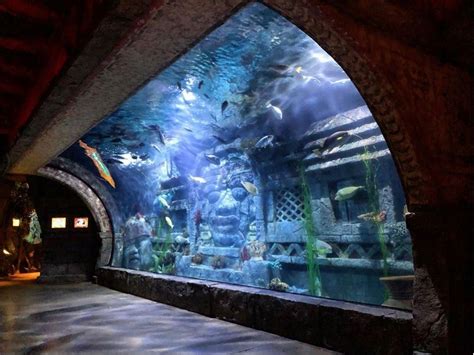 Downtown Aquarium Kemah Tx Party Venue