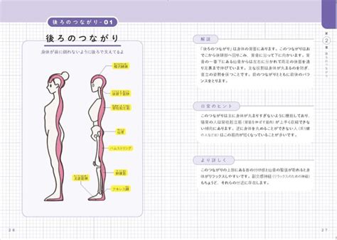 デスクワークで肩が凝る人に最適なストレッチとは？ 筋肉同士の繋がりをイラストで学べば、肩こりの解消やケガ防止ができる ライブドアニュース