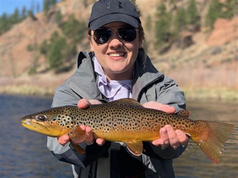 Fly Fishing Near Denver Colorado Trout Hunters