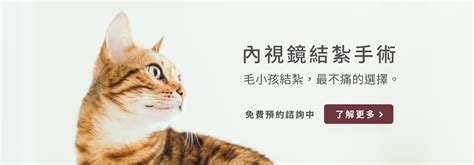 聯盟動物醫院｜專業犬貓兔鼠獸醫師團隊 高雄動物醫院推薦