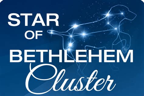 The Star of Bethlehem Cluster Shines On | Canine Chronicle