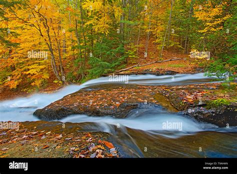 Cascading Waterfall At Hatchery Falls On The Skeleton River Muskoka