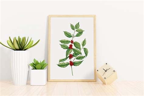 Watercolor coffee plant print. Instant download coffee | Etsy