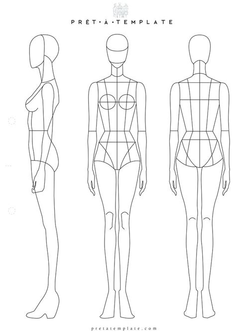 Female Body Drawing Template At Explore Collection