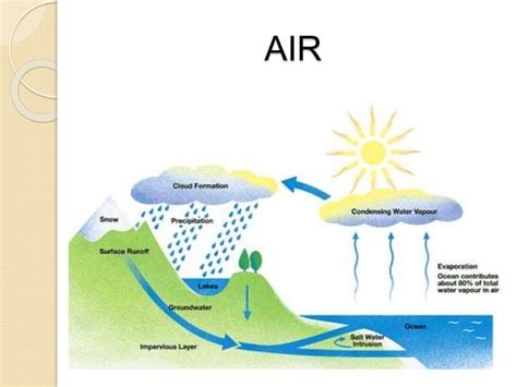 Siklus Materi Oksigen Karbon Nitrogen Ppt