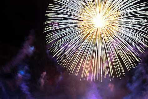 Veriety Feux Dartifice Colorés Sur Le Ciel Nocturne Un éclair De