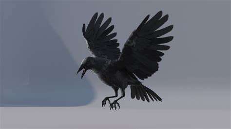 3d Crow Animations Turbosquid 1437323