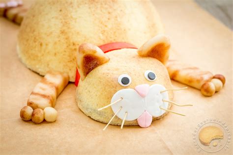Gâteau Danniversaire Chat Façon Entremets Fruits Rouges Et Lait D