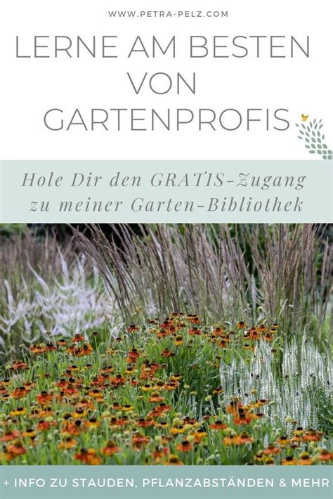 Profitiere Von Gartenprofi Tipps Für Dein Staudenbeet In 2021