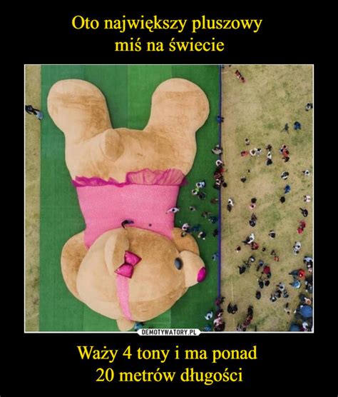 Oto największy pluszowy miś na świecie Waży 4 tony i ma ponad 20 metrów