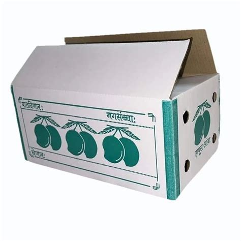 Double Wall Ply Fruit Packaging Corrugated Box At Rs Piece In Indore