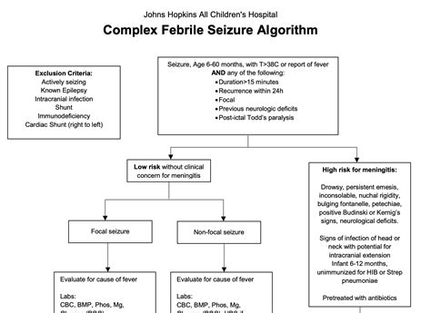 논란 포인트 Complex Febrile Seizure 환아 Lumbar Puncture 해야 하는가 2023 Pe