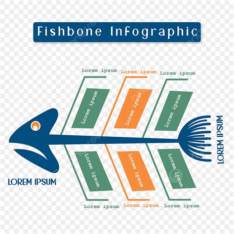 รปกางปลาอนโฟกราฟกเวกเตอรฟร PNG แผนภาพกางปลา Infographic