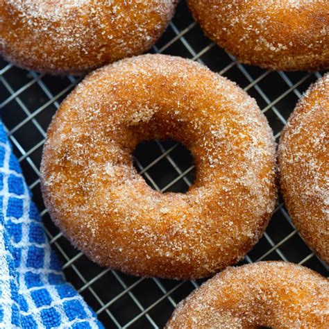 Baked Cinnamon Sugar Donuts All Recipes Club