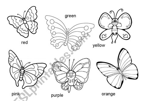 Color The Butterflies Esl Worksheet By Nitcha