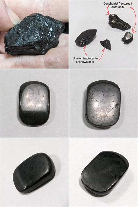Is This Cannel Coal Or Just Regular Bituminous It Has A Relative