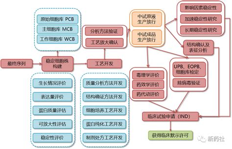 收藏 新药研发全流程图总结 药选址