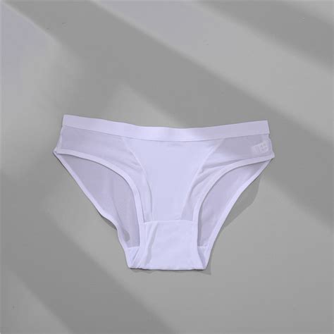 Mid Rise Mesh Transparent Briefs Lingerie Manufacturer Since 2003