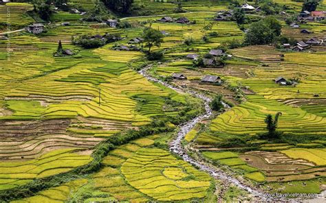 Trek Fansipan Mountain 9 Days Sapa Trekking Tours