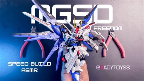 SPEED BUILD ASMR GUNDAM FREEDOM MGSD GUNDAM SEEDS BEAT BUILD