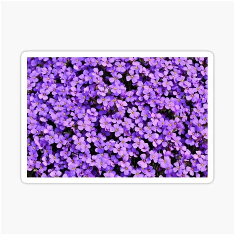 Beautiful Purple Flowers Sticker For Sale By Megaluxe Redbubble