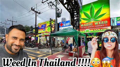 Weed Thailand Is Thailand The Weed New Capital Of The World Weed Shop Tour In Thailand Youtube