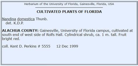 Preparation Of Plant Specimens For Deposit As Herbarium Vouchers University Of Florida