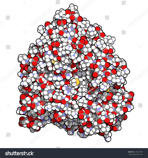 Cytochrome P450 Liver Enzyme (Cyp3a4, Human), Chemical Structure. This Liver Protein Plays An ...