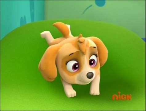 Skye The Cockapoo Paw Patrol Photo 40127273 Fanpop